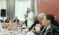 Bakan Göktaş: Terörsüz Türkiye sürecini bizzat şehit yakınlarımız ve gazilerimizle birlikte inşa ettik