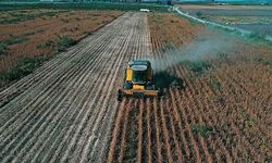 Çiftçilerin hesaplarına 195,6 milyon lira tarımsal destekleme ödemesi aktarılıyor