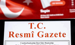 Çocuk Koruma Kanunu ile Bazı Kanunlarda Değişiklik Yapılmasına Dair Kanun Resmi Gazete'de