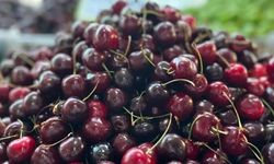 Türkiye'nin yaş meyve ihracatı, 7 aylık dönemde ilk kez 1 milyar dolar bandını aştı