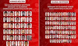29'u kırmızı bültenle aranan 76 suçlunun Türkiye'ye iadesi sağlandı