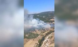 Balıkesir'de orman yangını kontrol altına alındı