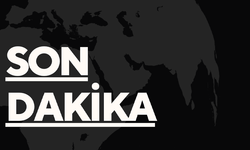Cumhurbaşkanı Başdanışmanı Oktay Saral istifa etti