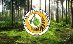 Orman Genel Müdürlüğü 12 müfettiş yardımcısı istihdam edecek