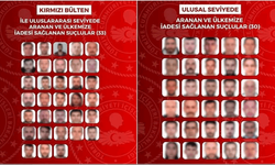 Son 1 ayda kırmızı bültenle ve ulusal seviyede aranan 63 suçlu Türkiye'ye getirildi