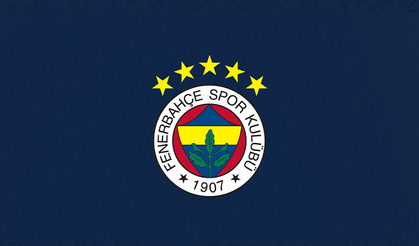 Fenerbahçe ara transfer döneminde kimleri kadroya katacak?