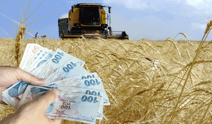 Çiftçilere 4,1 milyar liralık destek ödemesi bugün aktarılıyor