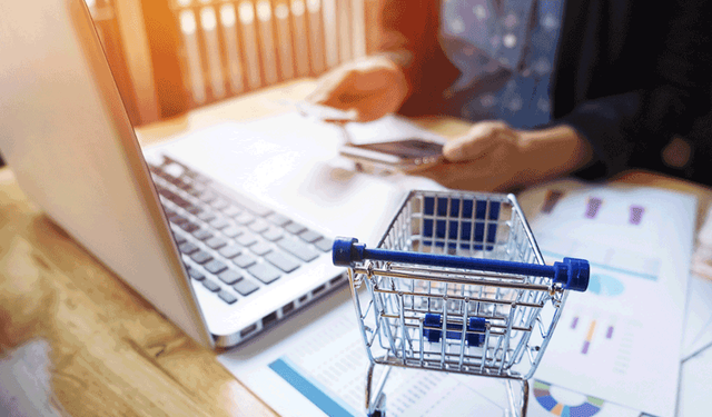 Ticaret Bakanlığı e-ticaret firmalarını mercek altına aldı