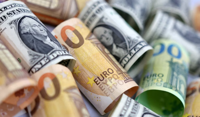 Euro zirveden geriledi