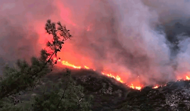 Antalya’nın Kaş ilçesinde orman yangını