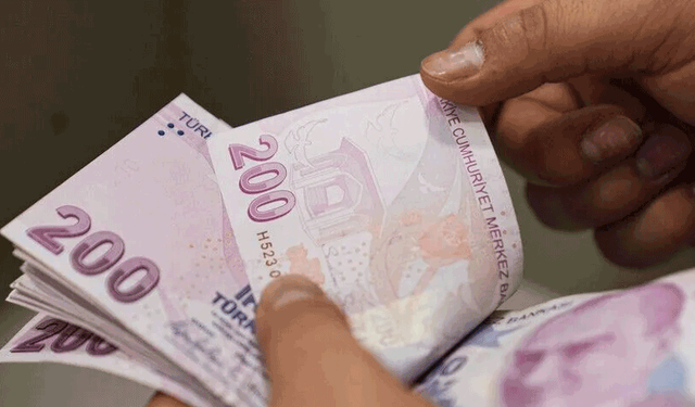 Engelli ve eski hükümlü vatandaşlar için hibe desteği başvuruları başladı