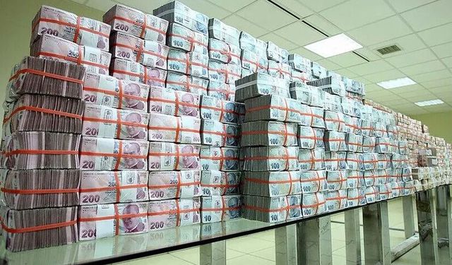 Türk lirası mevduatın payını artırma politikaları sürdürülecek