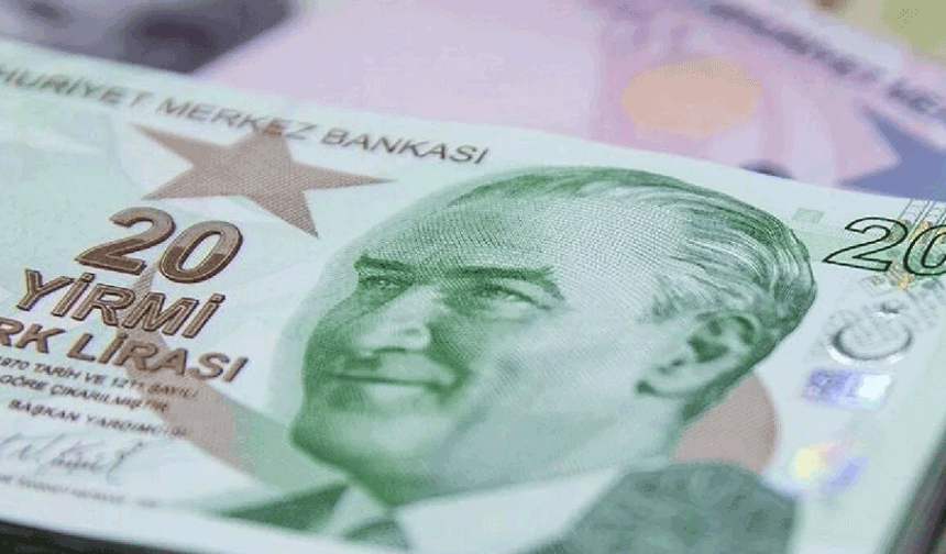 Yeni 20 TL'lik banknotlar bugün tedavüle girdi