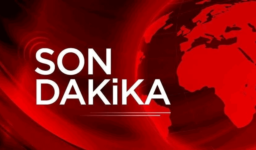 Erpiliç, Şenpiliç, Banvit… Beyaz et firmalarına operasyon: 13 şirkete kayyum atandı