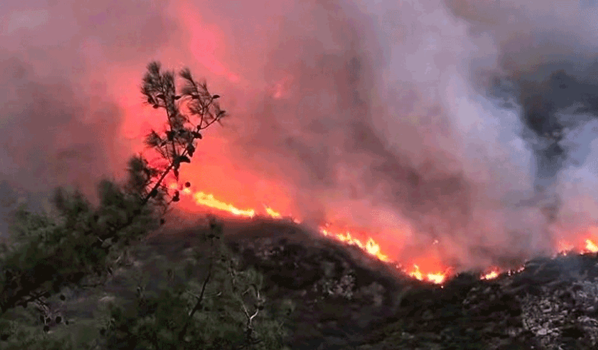 Antalya’nın Kaş ilçesinde orman yangını