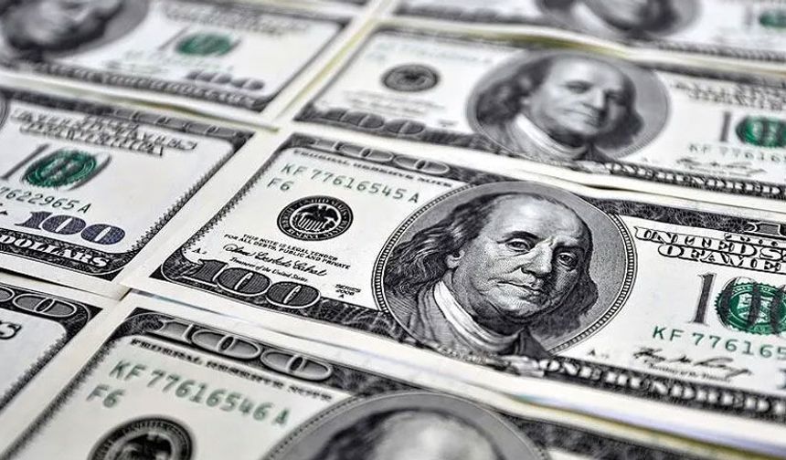 Dolar/TL rekor tazeledi