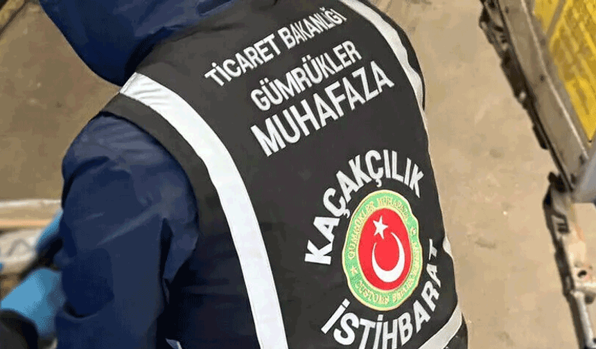 Gümrüklerde bu yıl 58 bin 519 canlı hayvan ele geçirildi