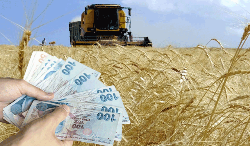 Çiftçilere 4,1 milyar liralık destek ödemesi bugün aktarılıyor