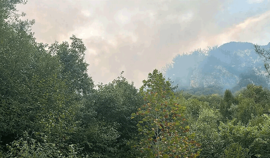 Hatay'da ormanlık alanda yangın çıktı