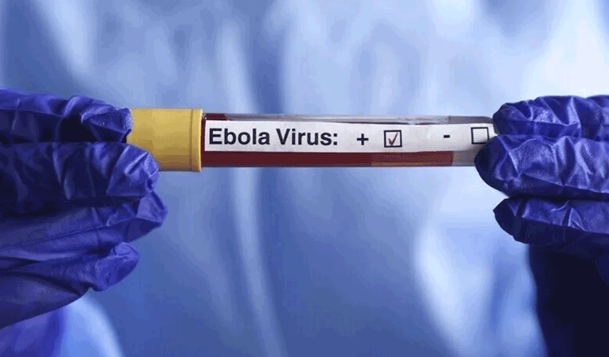 Kenya'da Ebola vakası sayısı 8'e yükseldi
