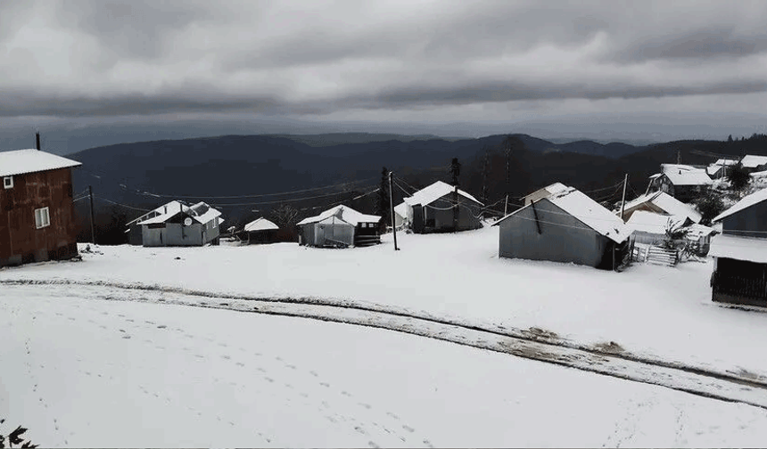 Sakarya'nın yüksek kesimlerine kar yağdı
