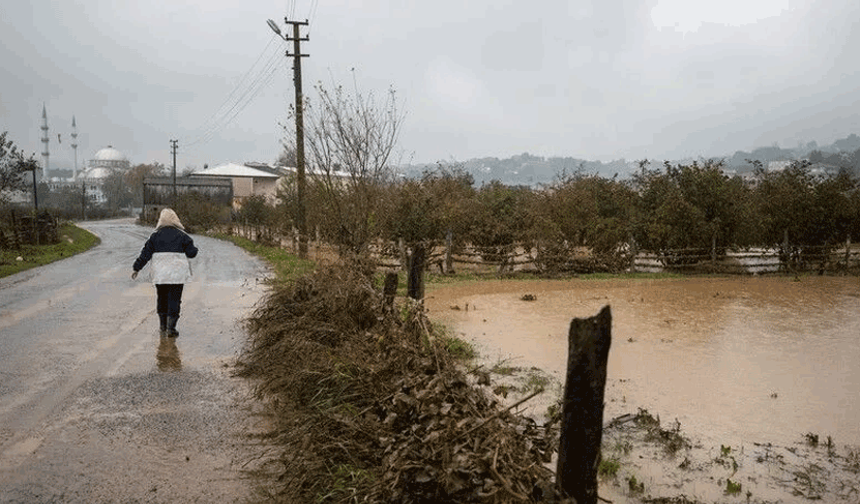 Sel felaketinden etkilenen illerde 2 bin kişiye istihdam sağlanacak