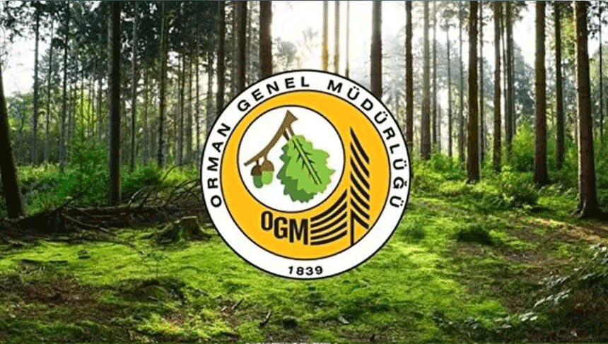 Orman Genel Müdürlüğü 12 müfettiş yardımcısı istihdam edecek